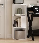 Furinno Basic Coffee Table, 2-Tier Modern Coffee Table with Open Shelf, Easy Assembly Side Table, for Living Room, Bedroom, Home Office, Amber Oak